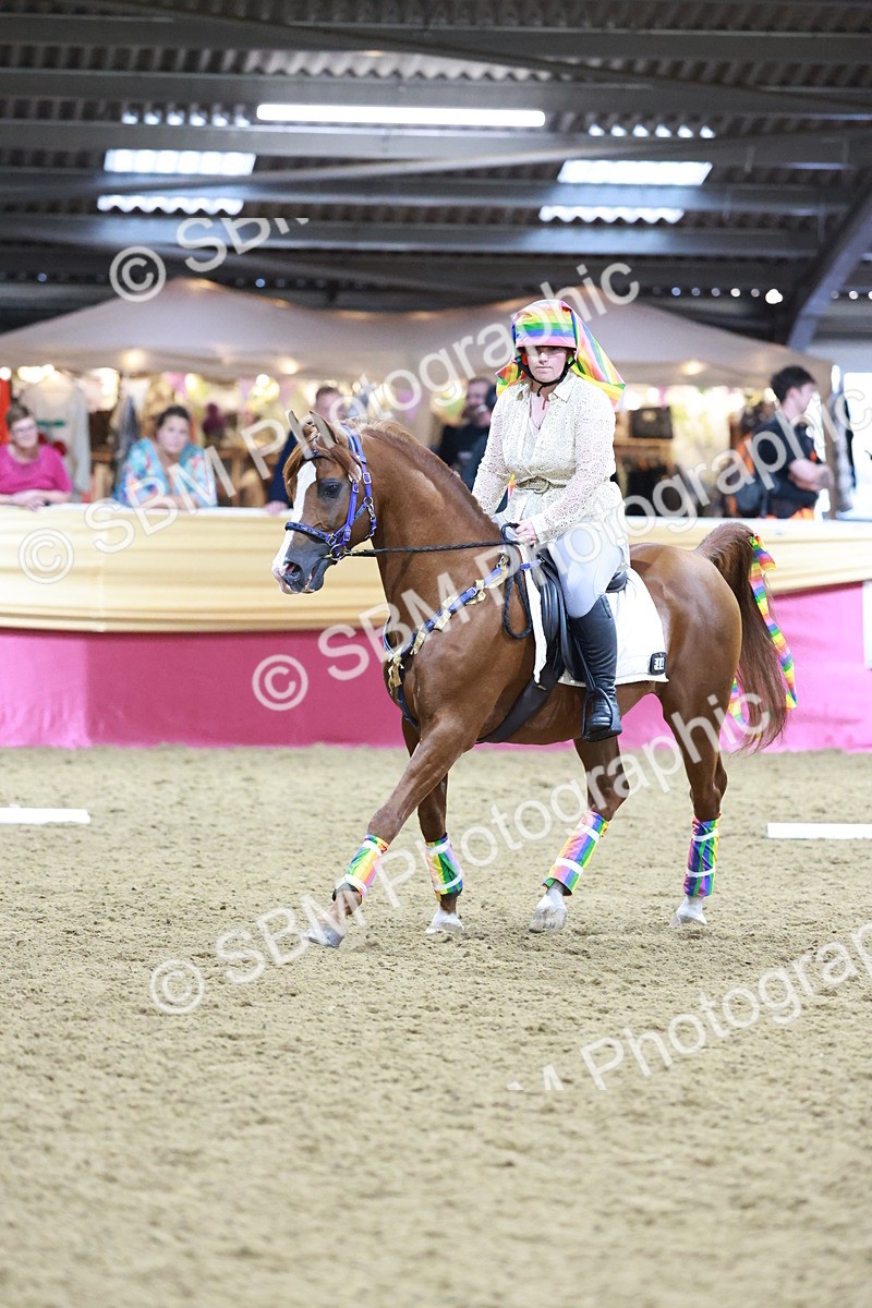 SBM_10029 - Class 62 - Strictly Fancy Dress-Age