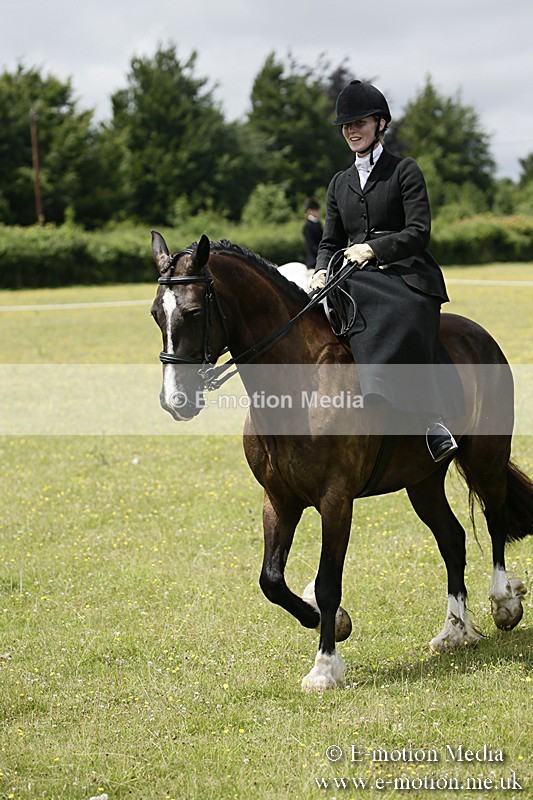 BVR160717-1626 - Side Saddle Classes 16/07/17