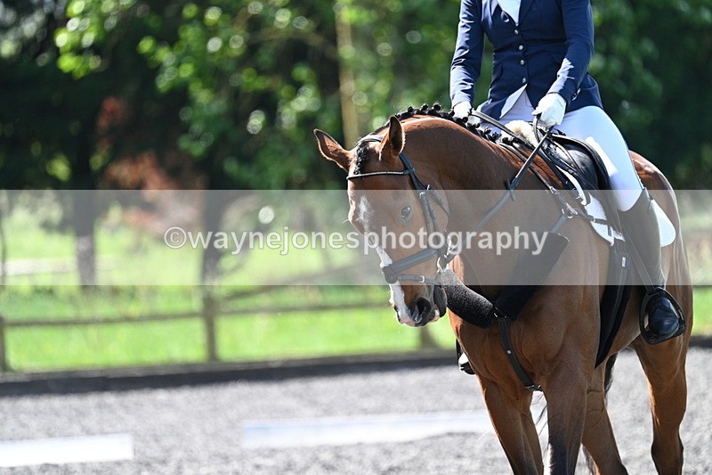 WJ7_9238 - Time 11:56 to 12:08