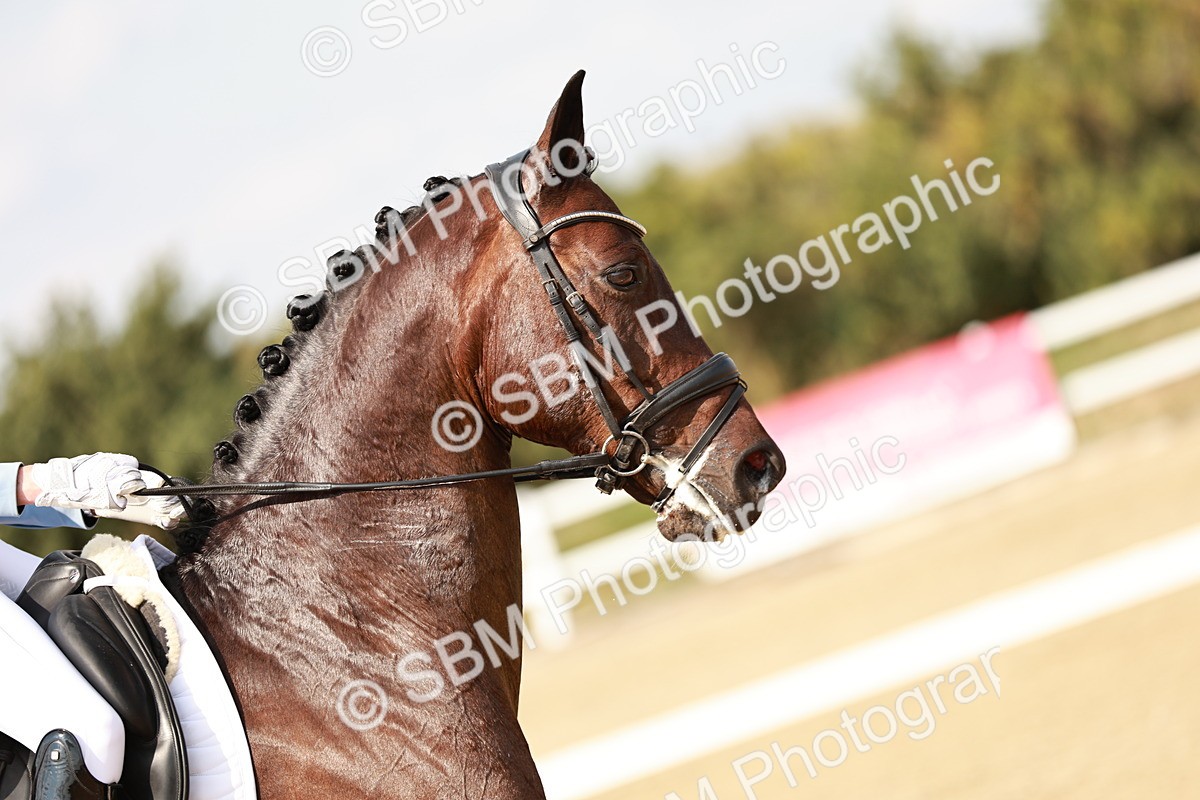 SBM_004602