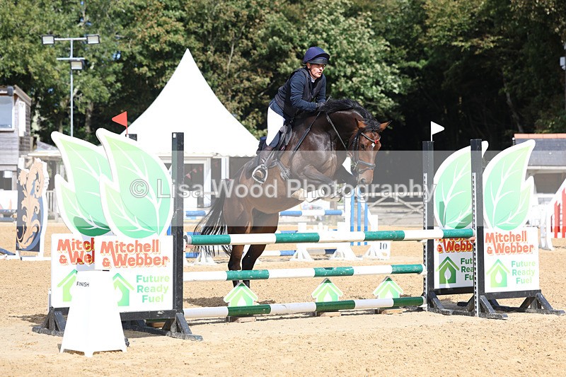 3E7A9161 - Class 9: Senior British Novice/90cm open
