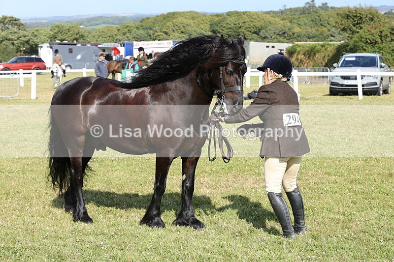 1X9A6011 - Class 42: NPS Dales, Fell, Highland