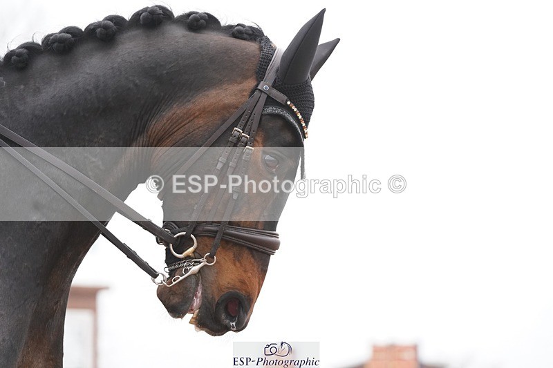 250404-093530-04076 - 046-Emily.Ormerod-FLS.Samphire