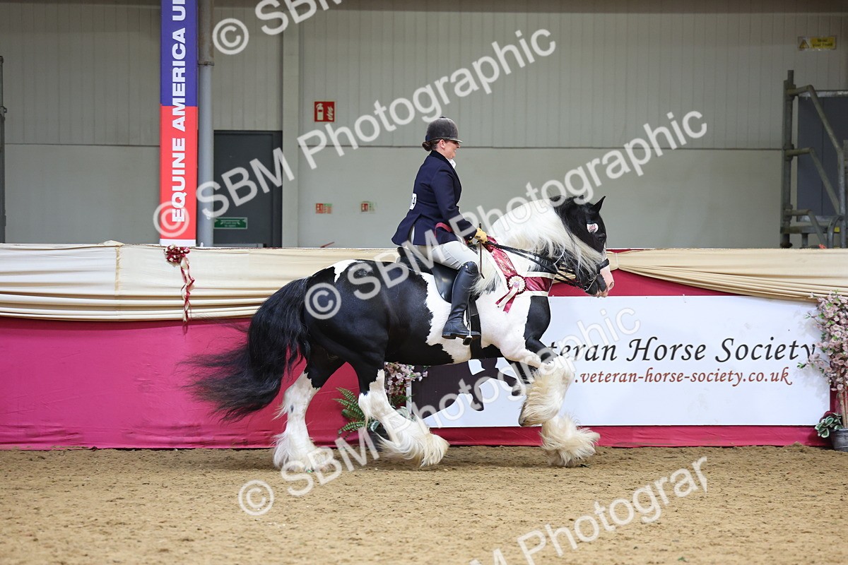 SBM_24216 - Class 905 - Supreme Final - Ridden Veteran