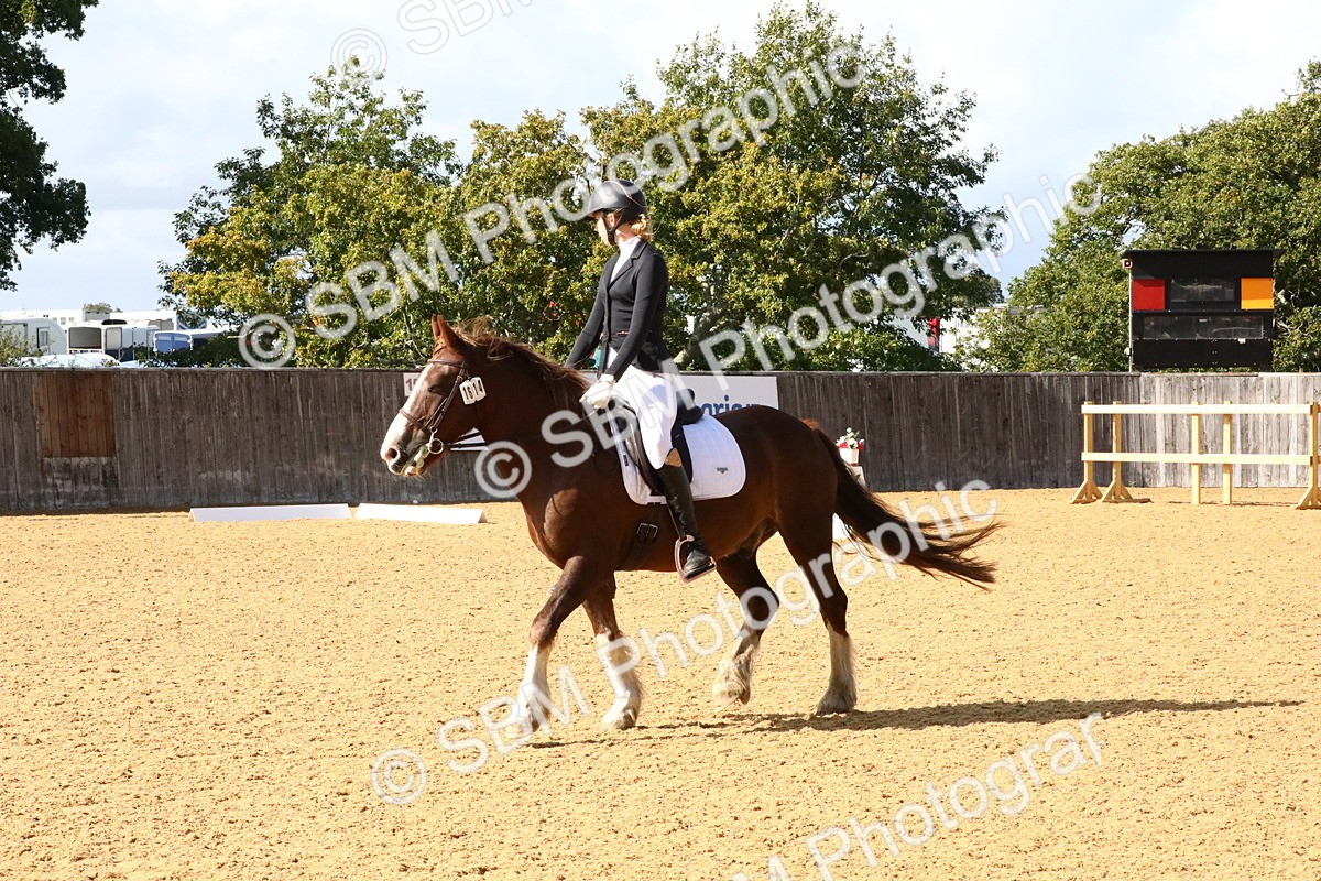 SBM_24402 - D5 - Small Tour Championshop Intro 2