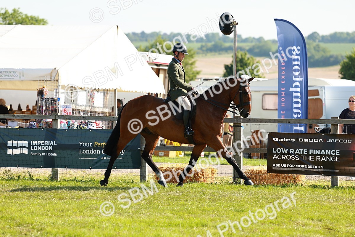 SBM_11874 - Class 66-69 - RIHS Ridden Hunters Inc Small Hunter