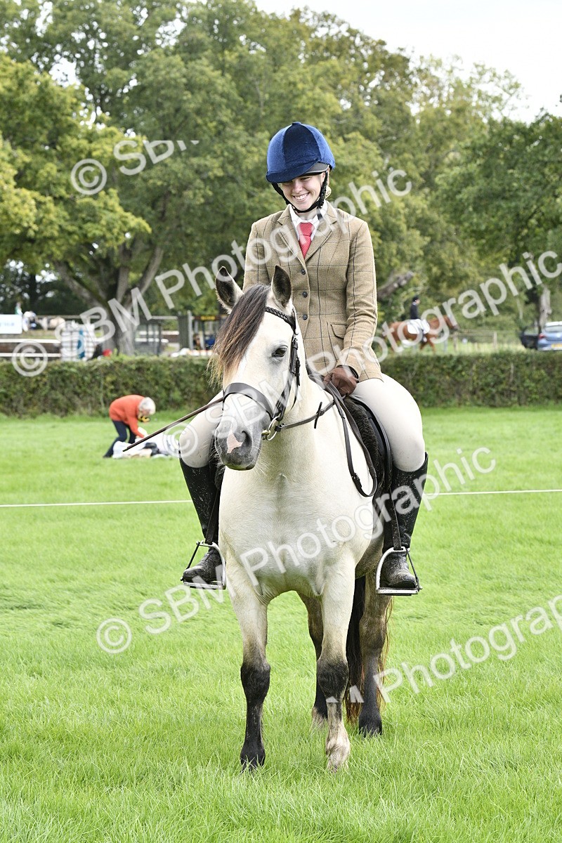 SBM_41607 - S32 - Mountain & Moorland Working Hunter Pony