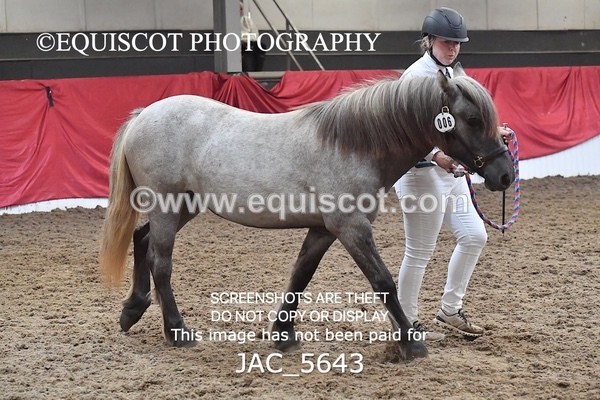 JAC_5643 - 6 Glenmuir Niamh