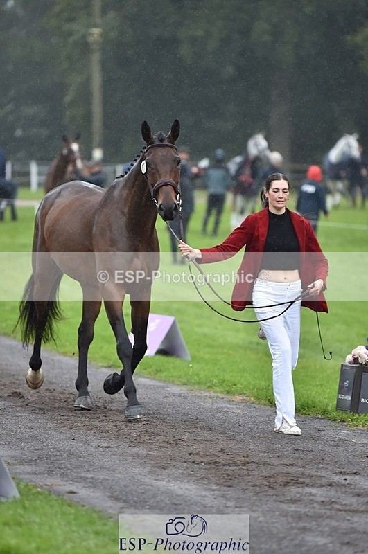 231018-121406-00150 - 023-THE.REAL.MCKAY-Jess.Rimmer-TrotUp