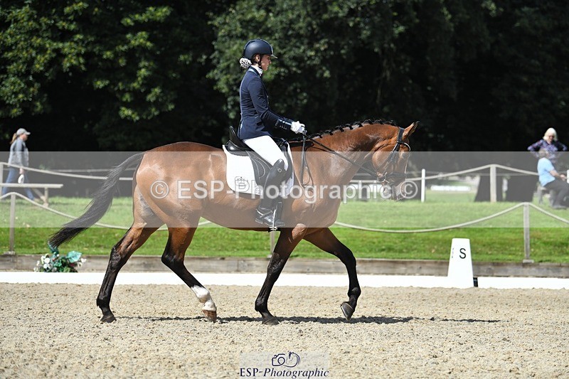 230812-114016-03666 - Cls 6 Novice Silver 10.30 to 11.55 break