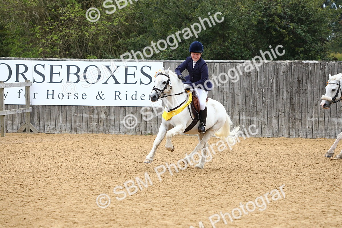 SBM_60174 - J63 - Junior Pony 50cm Championship