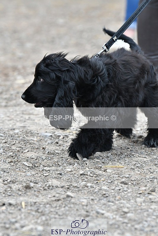 230817-124223-02801 - Stable Shots