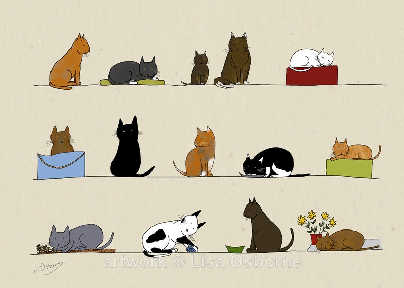 Cats - DIGITAL ARTWORK