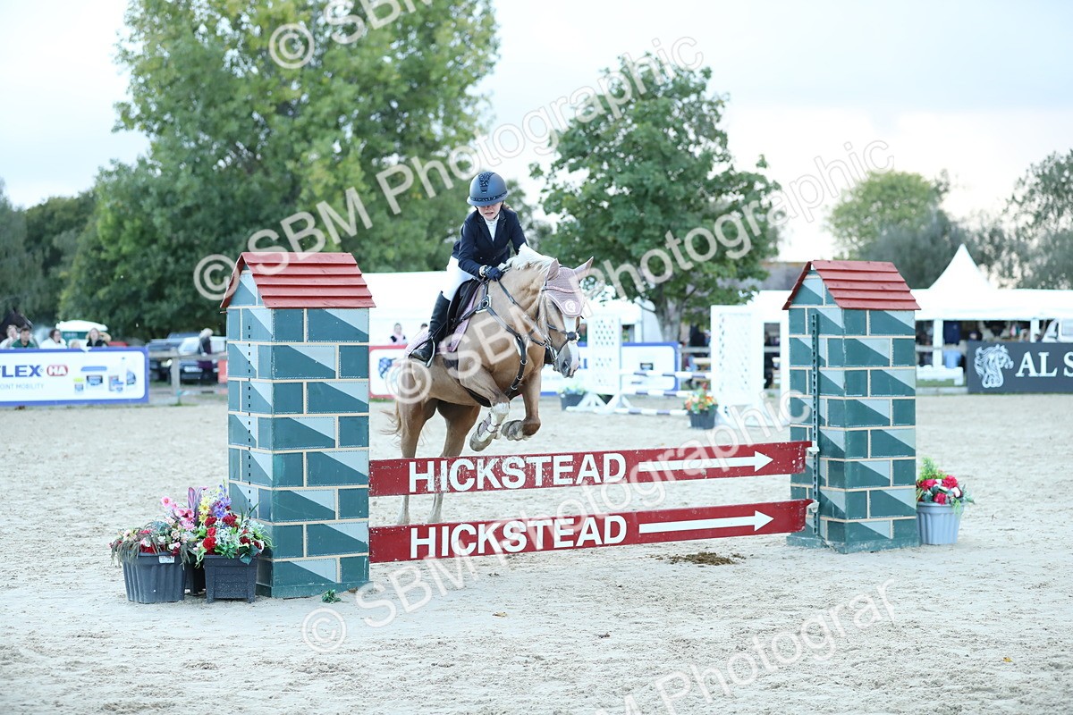 SBM_53679 - Supreme Championship 65cm 70cm