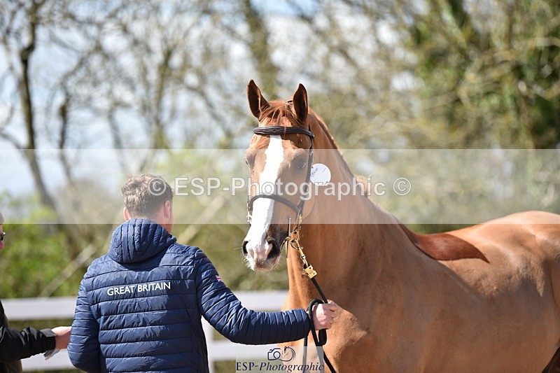 240417A-144314-00621 - 2pm to 3pm