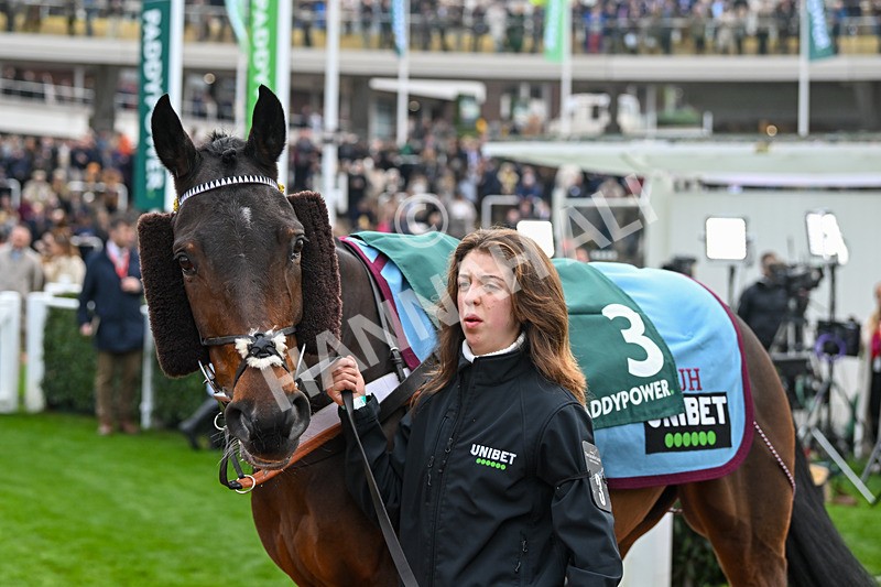 161124-Race 5-Paddock-Captain Morgs-0744 - Race 5