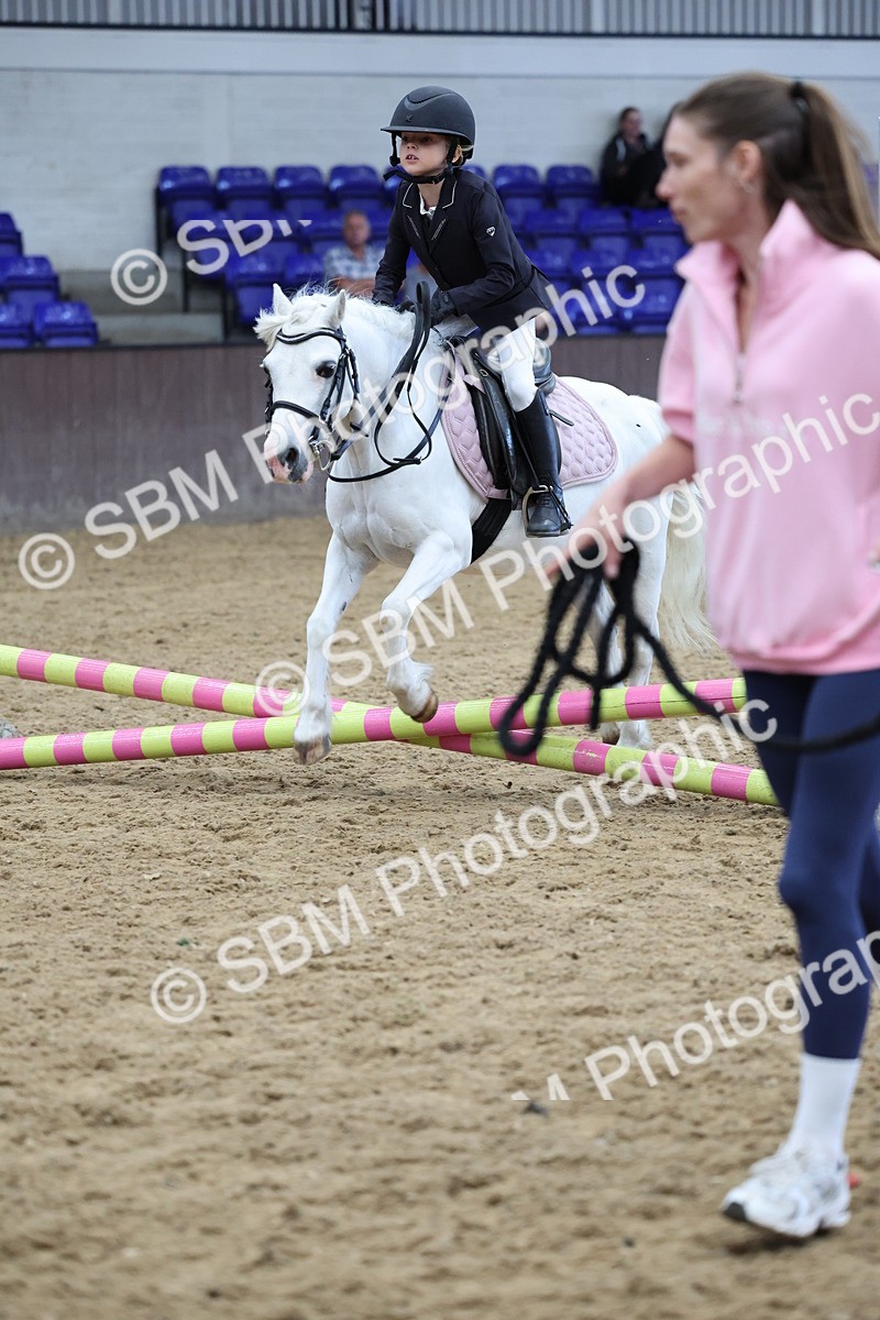 SBM_006956 - Class 1 - 40cm showjumping