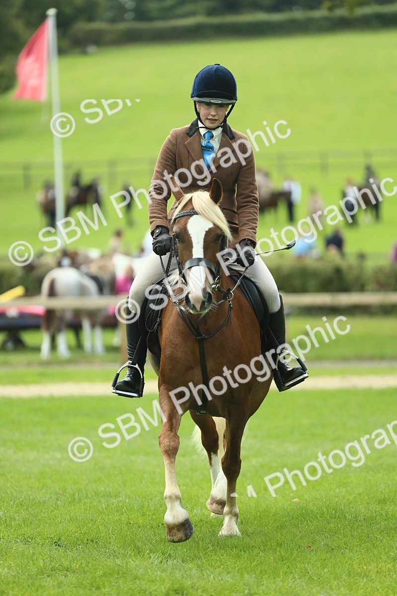 SBM_42806 - S30 - M&M Working hunter Pony