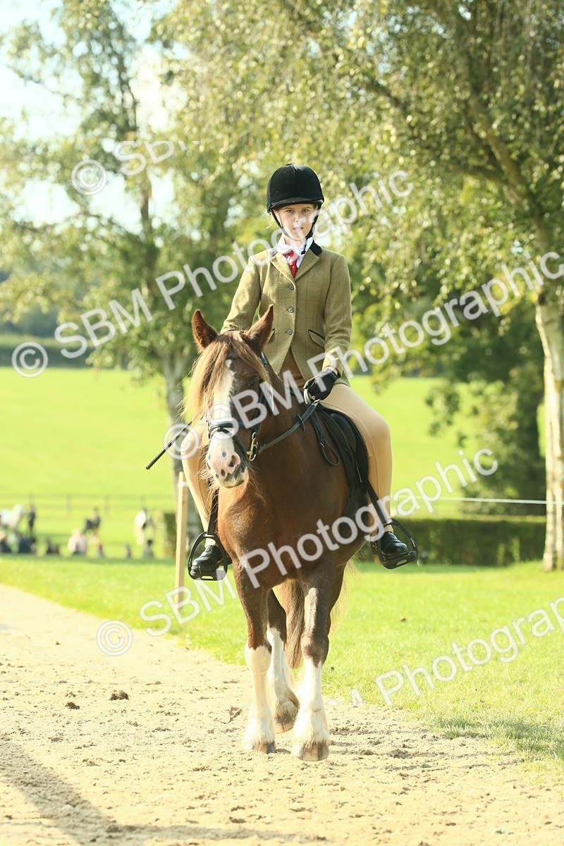 SBM_59897 - S38 - Starters Ridden Showing