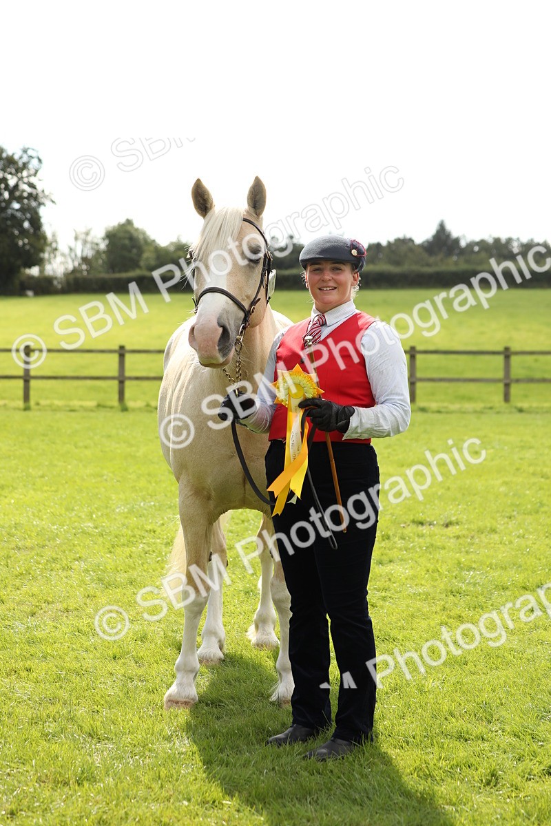 SBM_65541 - S47 - Mountain & Moorland In Hand Large Breeds