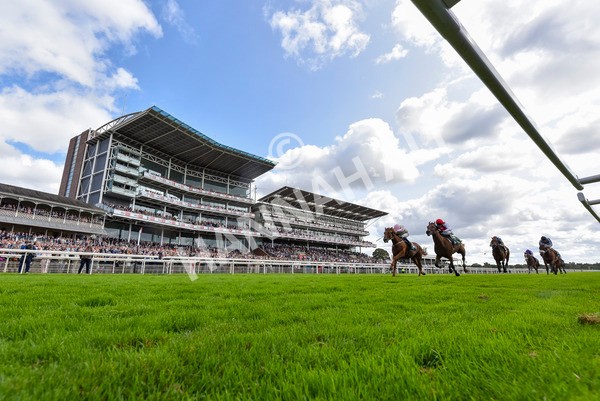 230824-Race 2-Vauban-4213 - Race 2 2.25pm Weatherbys Hamilton Lonsdale Cup Stakes