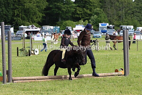 IMG_2142 - Working Hunter