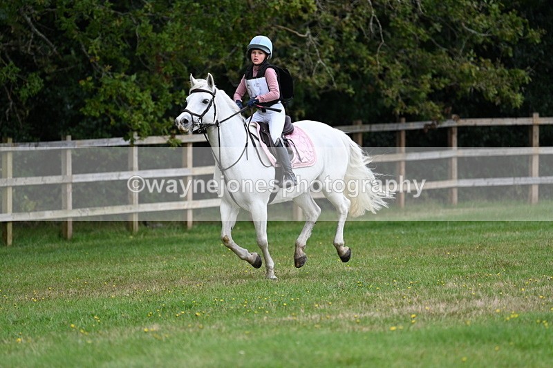 WJ7_8443 - 60cm Time 12:11 to 12:30