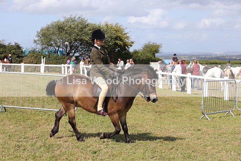 1X9A5569 - Class 39: NPS Dartmoor, Exmoor, Shetland