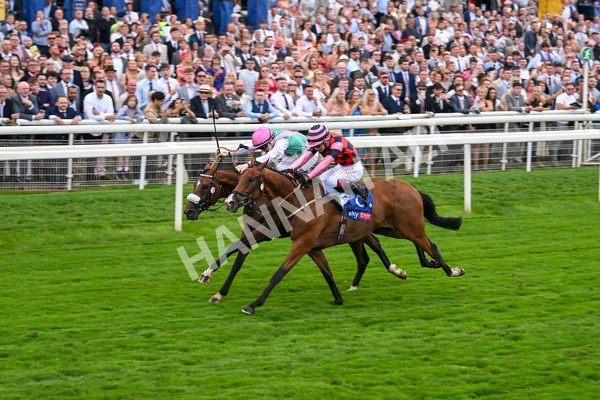 230825-Race 2-Tarriance-0031 - Race 2 2.25pm Sky Bet Melrose Handicap