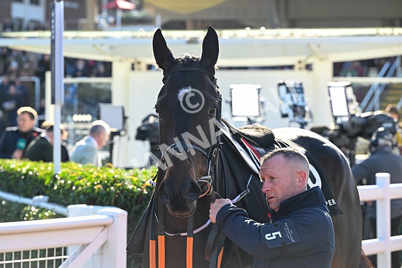 241025-Race 2-Relieved Of Duties-2471 - Race 2