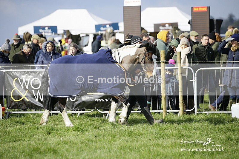 PtP 060322 55 - Blackmore & Sparkford Vale Hunt PtP 06/03/22