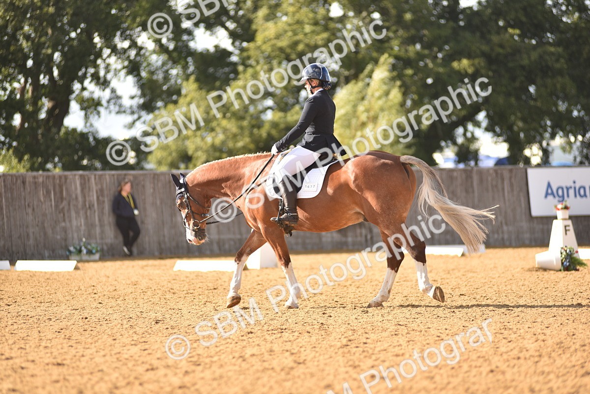 SBM_29582 - D16 -Small Tour Championship Novice 2