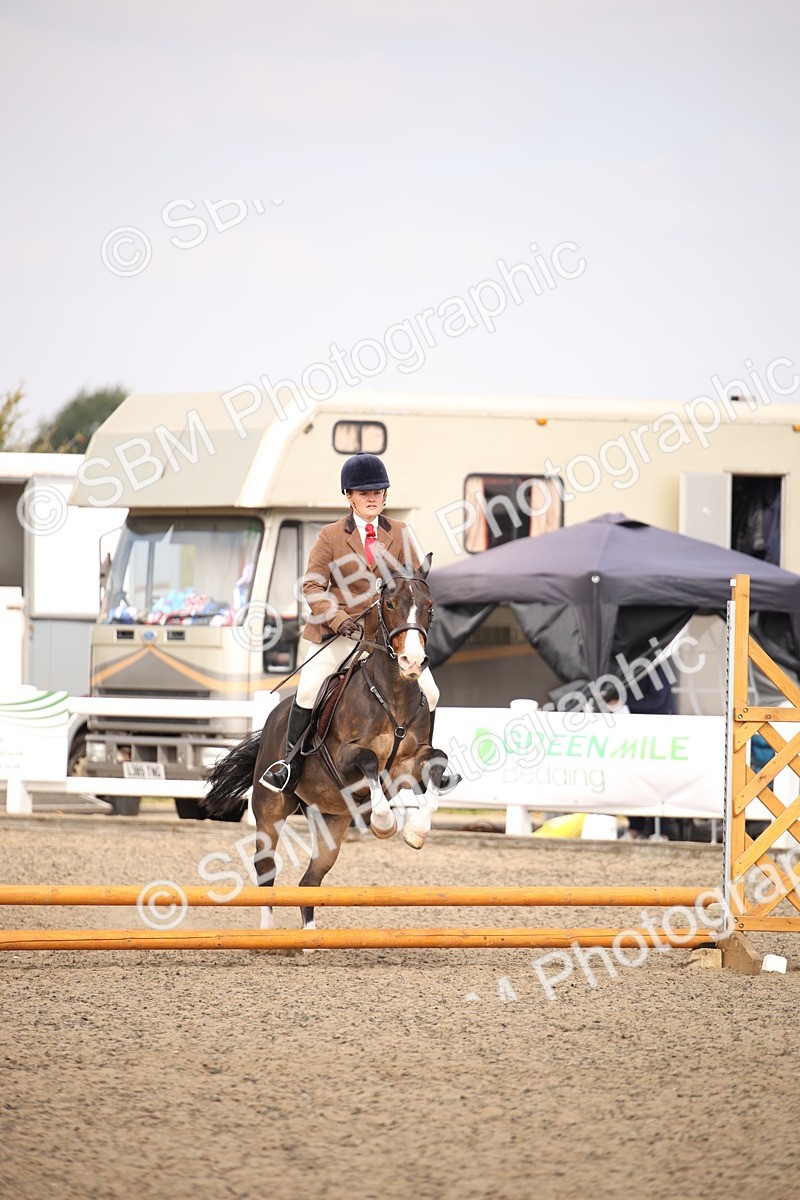 SBM_13564 - Class 406b - Working Veteran 50cm (20+)