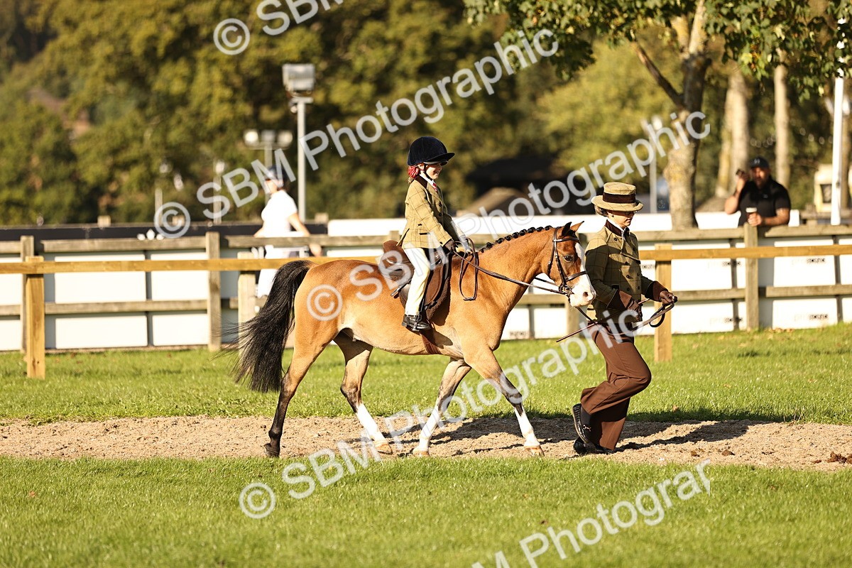 SBM_29367 - S7 - Novice & Newcomers Ridden Pony