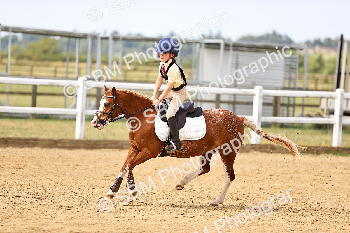 SBM_001729 - Class 2 - 50cm