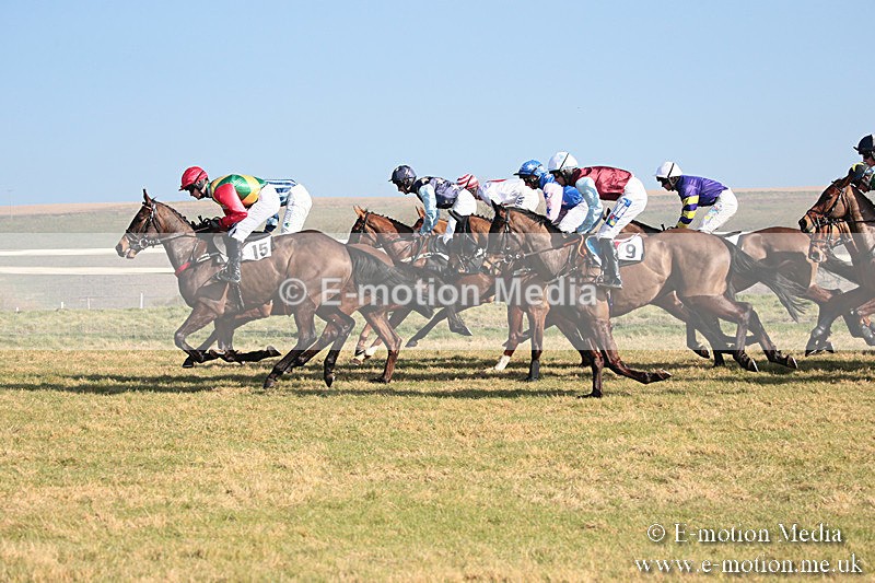 PtP 230219 69 - Vine & Craven Point-To-Point - Barbury 23/02/19