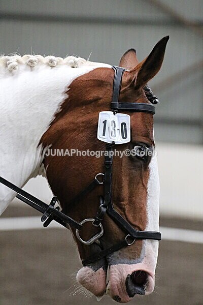 SIAL4524 - CAbin Dressage 5th july 2025