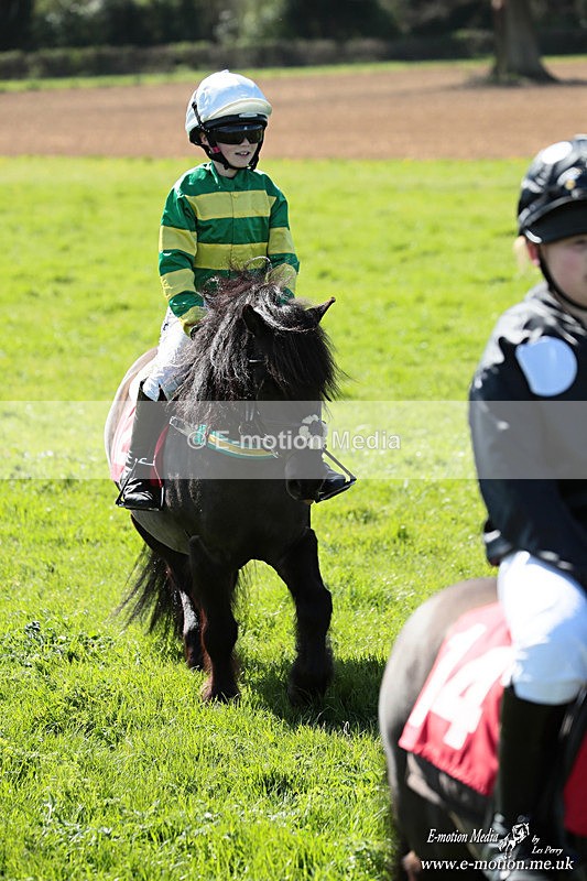 Shet 060426 370 - Shetland Pony Racing Paxford Races Easter Mon 06/04/26