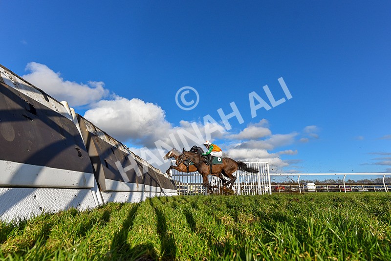 120224-Race 3-Tap N Go Leo-2-2 - Race 3