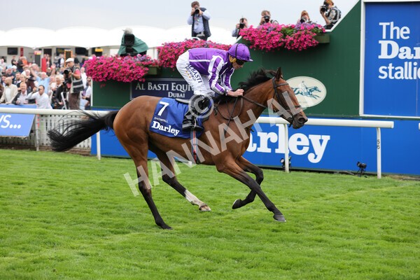yr19082021r4-46 - Race 4 3.35pm Darley Yorkshire Oaks (British Champions Series race)