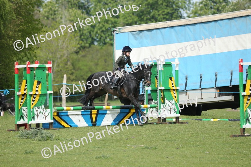 20260426-1757 - Class 14 - Novice 60cm