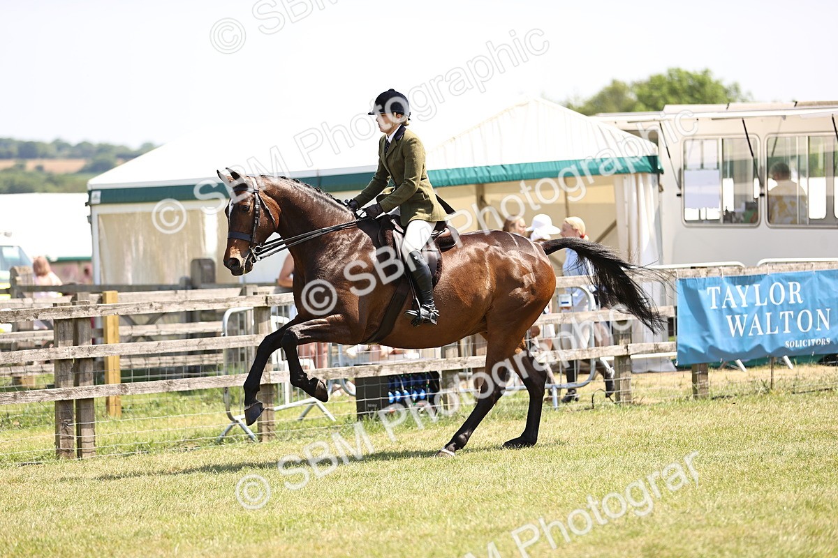 SBM_15129 - Class 79-80 - LIHS BSHA Rising Star Ridden Hunter
