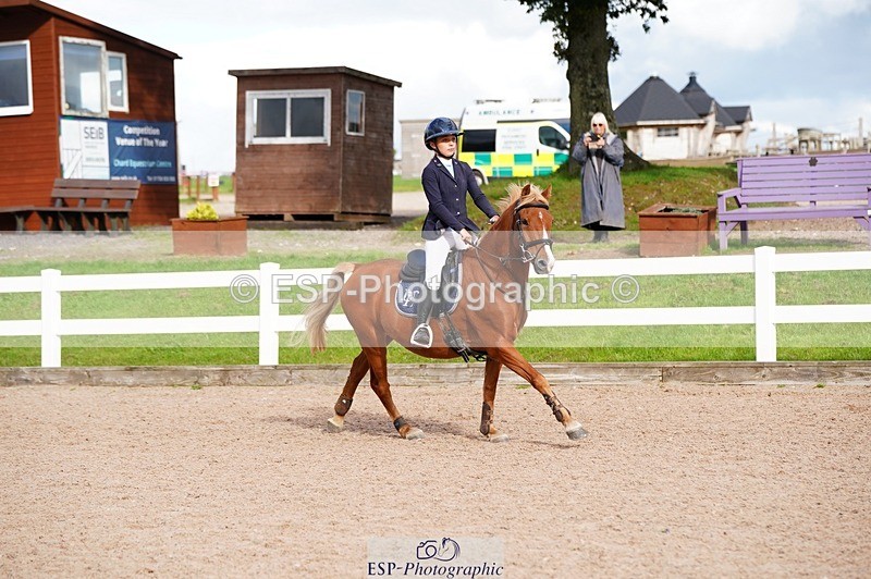 250921-155818-04189 - Cls 31 Stepping Stones