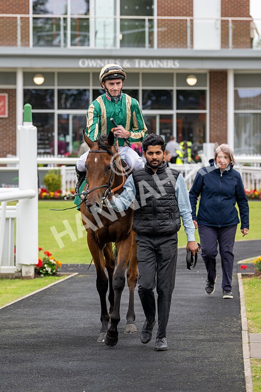 030724-Race 2-The Crafty Mole-0566 - Race 2