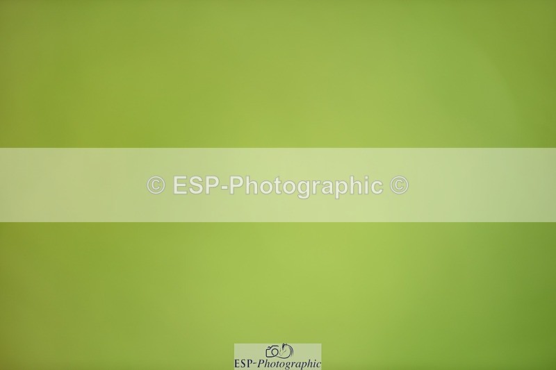 240605-120352-00276 - Cls 3 Novice 23