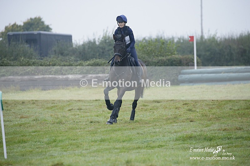 WWHT 171021 0007 - Novice Restricted (0.80m)  17/10/21