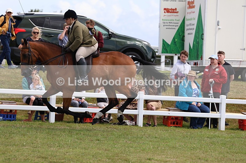 3E7A0632 - Rising Star Ridden Championship