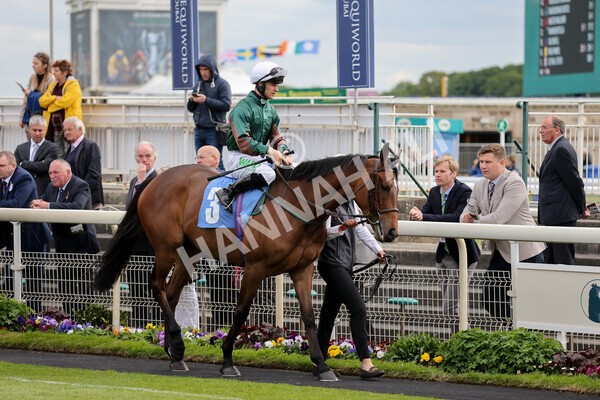 yr12052022r7-1 - Race 7 5.15pm Fidomoney Stakes