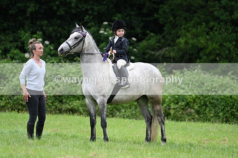 WJ7_4263 - Class 14A Handsome Gelding