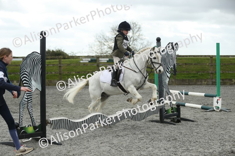 20260412-0668 - Show Jumping